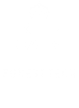 https://s3.us-west-1.wasabisys.com/ecart-content/occupationtshirts.com/overlays/172/013/17201359.png img
