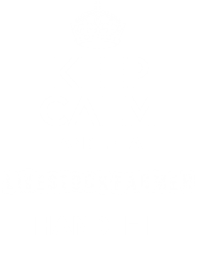 https://s3.us-west-1.wasabisys.com/ecart-content/occupationtshirts.com/overlays/172/029/17202925.png img