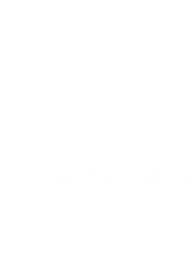 https://s3.us-west-1.wasabisys.com/ecart-content/occupationtshirts.com/overlays/172/029/17202934.png img