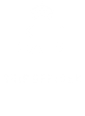 https://s3.us-west-1.wasabisys.com/ecart-content/occupationtshirts.com/overlays/172/085/17208562.png img