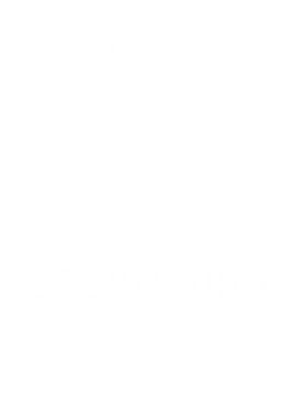 https://s3.us-west-1.wasabisys.com/ecart-content/occupationtshirts.com/overlays/172/101/17210153.png img