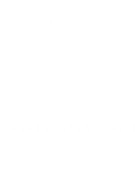 https://s3.us-west-1.wasabisys.com/ecart-content/occupationtshirts.com/overlays/172/101/17210160.png img