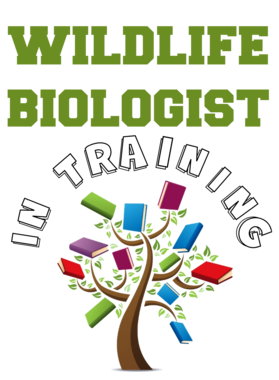 https://s3.us-west-1.wasabisys.com/ecart-content/occupationtshirts.com/overlays/344/608/3446087.png img