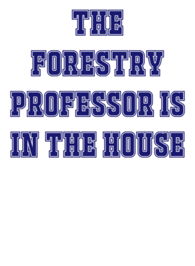 https://s3.us-west-1.wasabisys.com/ecart-content/occupationtshirts.com/overlays/587/232/5872324.png img