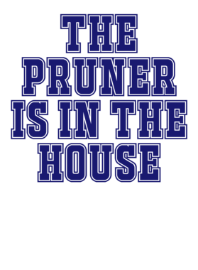 https://s3.us-west-1.wasabisys.com/ecart-content/occupationtshirts.com/overlays/587/802/5878024.png img