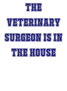 https://s3.us-west-1.wasabisys.com/ecart-content/occupationtshirts.com/overlays/588/015/5880152.png img