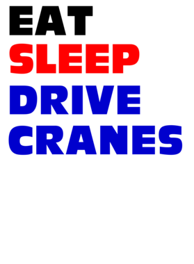 https://s3.us-west-1.wasabisys.com/ecart-content/occupationtshirts.com/overlays/588/090/5880905.png img