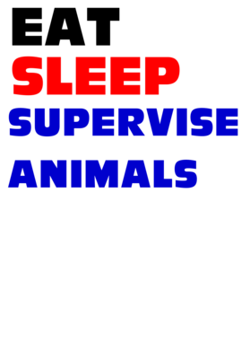 https://s3.us-west-1.wasabisys.com/ecart-content/occupationtshirts.com/overlays/588/180/5881800.png img