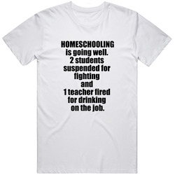 Homeschooling Is Going Well  2 Students Suspended For Fighting  And  1