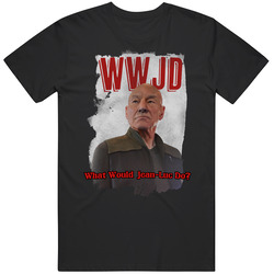 Wwjd What Would Jean Luc Do Star Trek Picard 2020 Top Tv Show T Shirt