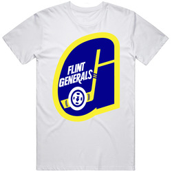 Flint Generals International Hockey League Ihl Retro Sports Team Logo 