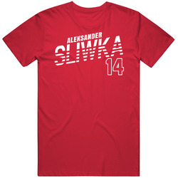 Aleksander Sliwka Poland Olympic Athlete T Shirt