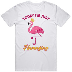 Today I'm Just Flamazing Flamingo Distressed T Shirt
