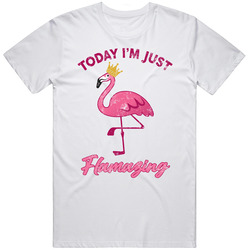 Today I'm Just Flamazing Distressed T Shirt