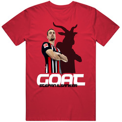 Stefan Ilsanker Austria Soccer Goat T Shirt
