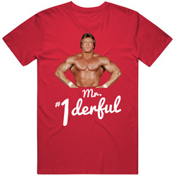 Paul Orndorff Mr Wonderful Wrestling T Shirt
