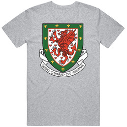 Wales National Football Association Football Soccer Sport Fan T Shirt