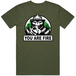 Smokey The Bear You Are Fire Smokeshow T Shirt