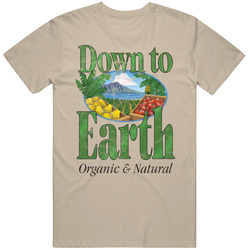 Down To Earth Organic & Natural Maui Hawaii Restaurant Worn Look T