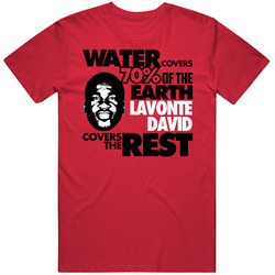 Lavonte David Covers The Rest Football Fan T Shirt