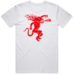 Fireball Whiskey Alcohol Booze Logo T Shirt