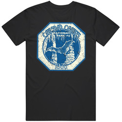 Carlsbad Caverns 1930 Vintage National Park T Shirt