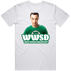 Wwsd What Would Sheldon Do The Big Bang Theory Fan T Shirt