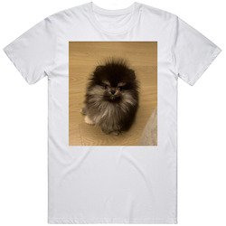 Bobaoppa Machi Big Brother Meme Dog T Shirt