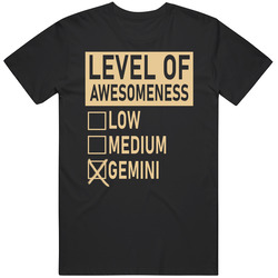 Level Of Awesome Low Medium Gemini Zodiac Sign T Shirt