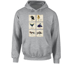 Fantastic Beasts Hoodie