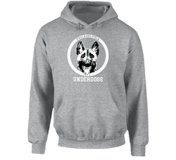 Philadelphia Eagles Underdogs Victory Superbowl Hoodie