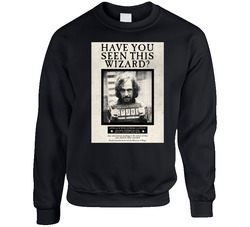 Have You Seen This Wizard Harry Potter Movie Series Fan sweater Crewneck Sweatshirt