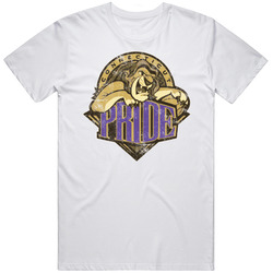Connecticut Pride Retro American Basketball Mens Cotton Tee T Shirt