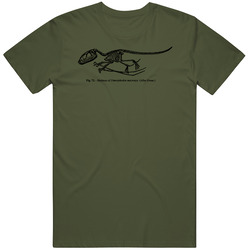 Dimorphodon Dinosaur Old Illustration Mens Cotton Tee T Shirt