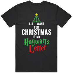 All I Want For Christmas Is My Hogwarts Letter Harry Potter Mens Size Large Black Mens Cotton Tee T Shirt
