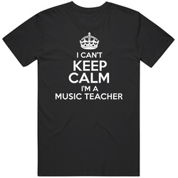 I Cant Keep Calm Im A Music Teacher Occupations Mens Soft Cotton Tee T Shirt