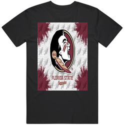 Florida State University 1 Cotton Classic T Shirt