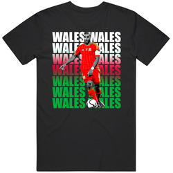 Ashley Williams Gradient Wales Flag Euro Cup Soccer Cotton Classic T Shirt