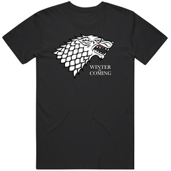Winter Is Coming Mens Vintage T Shirt
