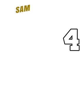 https://s3.us-west-1.wasabisys.com/ecart-content/papatshirt.com/overlays/399/005/39900544.png img