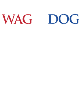 https://s3.us-west-1.wasabisys.com/ecart-content/papatshirt.com/overlays/399/099/39909946.png img