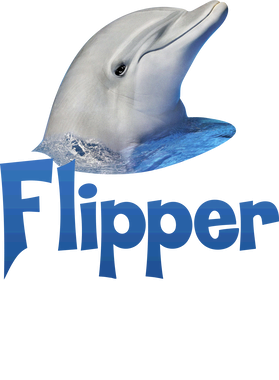 https://s3.us-west-1.wasabisys.com/ecart-content/papatshirt.com/overlays/399/214/39921468.png img
