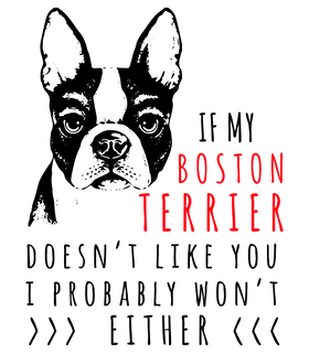 https://s3.us-west-1.wasabisys.com/ecart-content/papatshirt.com/overlays/401/538/40153875.png img