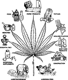 https://s3.us-west-1.wasabisys.com/ecart-content/papatshirt.com/overlays/401/562/40156274.png img