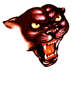 https://s3.us-west-1.wasabisys.com/ecart-content/papatshirt.com/overlays/401/573/40157318.png img