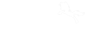 https://s3.us-west-1.wasabisys.com/ecart-content/papatshirt.com/overlays/402/764/40276421.png img