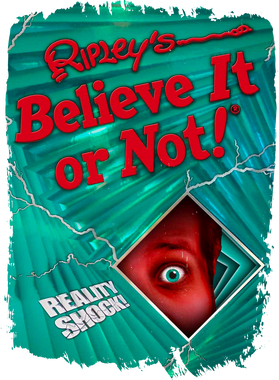 https://s3.us-west-1.wasabisys.com/ecart-content/papatshirt.com/overlays/402/842/40284258.png img