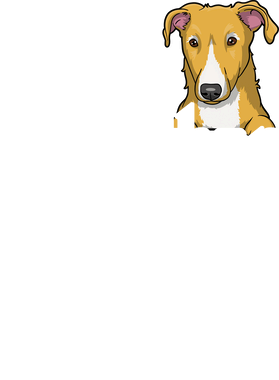 https://s3.us-west-1.wasabisys.com/ecart-content/papatshirt.com/overlays/402/862/40286298.png img
