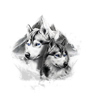 https://s3.us-west-1.wasabisys.com/ecart-content/papatshirt.com/overlays/402/931/40293118.png img