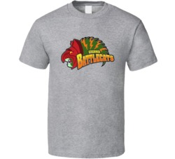He Man Eternia Battlecats Battle Cat T Shirt